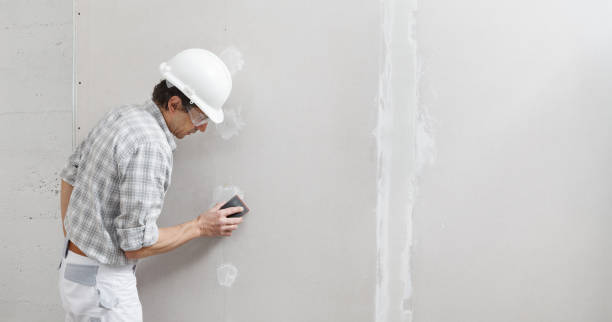 Best Dehumidification Services  in Newton, IL
