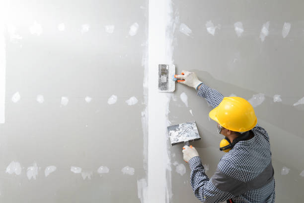 Best Biohazard Mold Removal  in Newton, IL