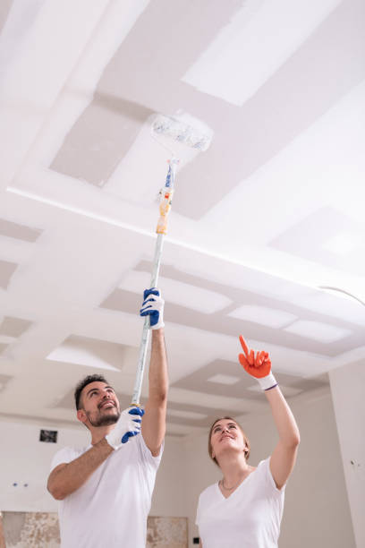 Best Commercial Mold Inspection  in Newton, IL