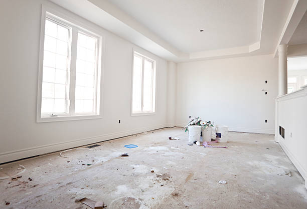 Best Real Estate Mold Inspection  in Newton, IL